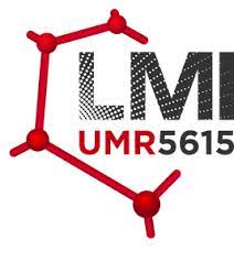 LMI